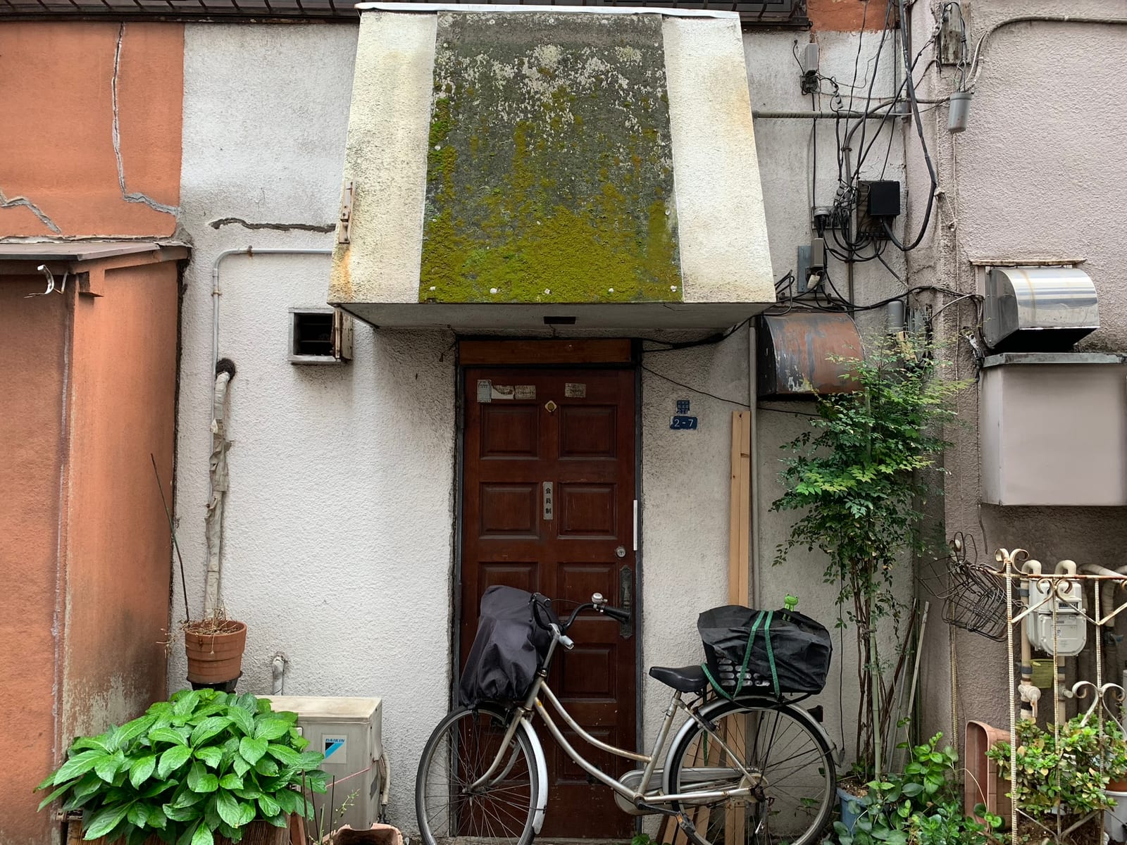 A city bicycle with a covered basket leaning against a dark wooden door under a moss-stained concrete canopy