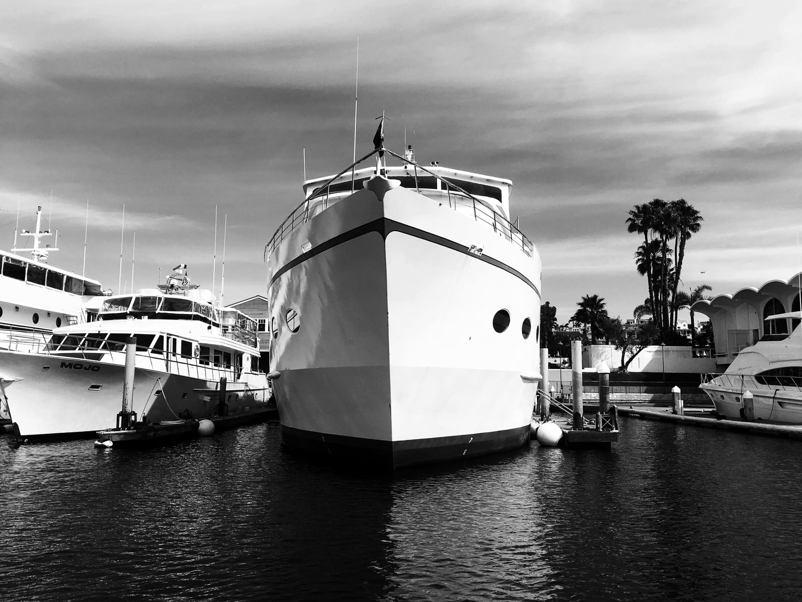 The white bow of a motor yacht head-on in its slip under a streaked sky, palms and other boats behind